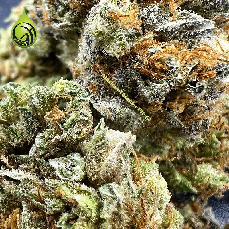 ATF
