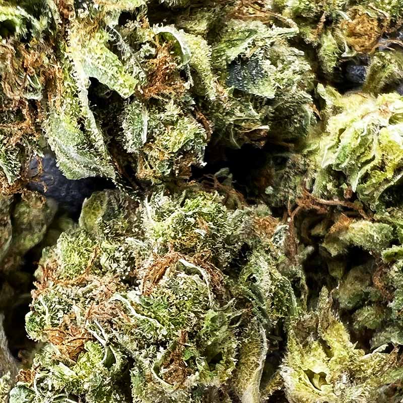 Blueberry Headband