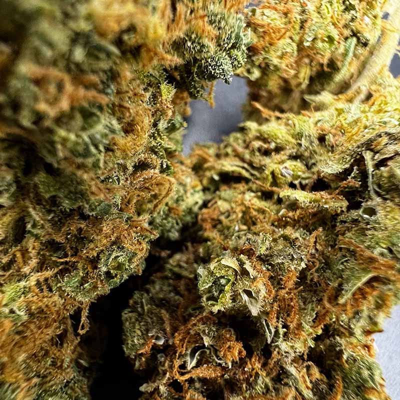 Super Lemon Haze
